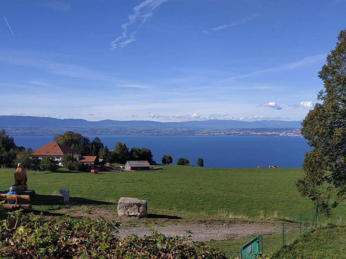 Maison D'Hotes Des Bassins D'Oche Saint-Paul-en-Chablais ภายนอก รูปภาพ