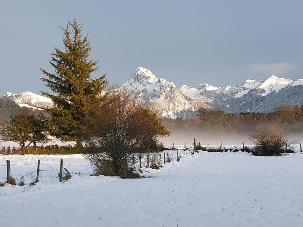 Maison D'Hotes Des Bassins D'Oche Saint-Paul-en-Chablais ภายนอก รูปภาพ
